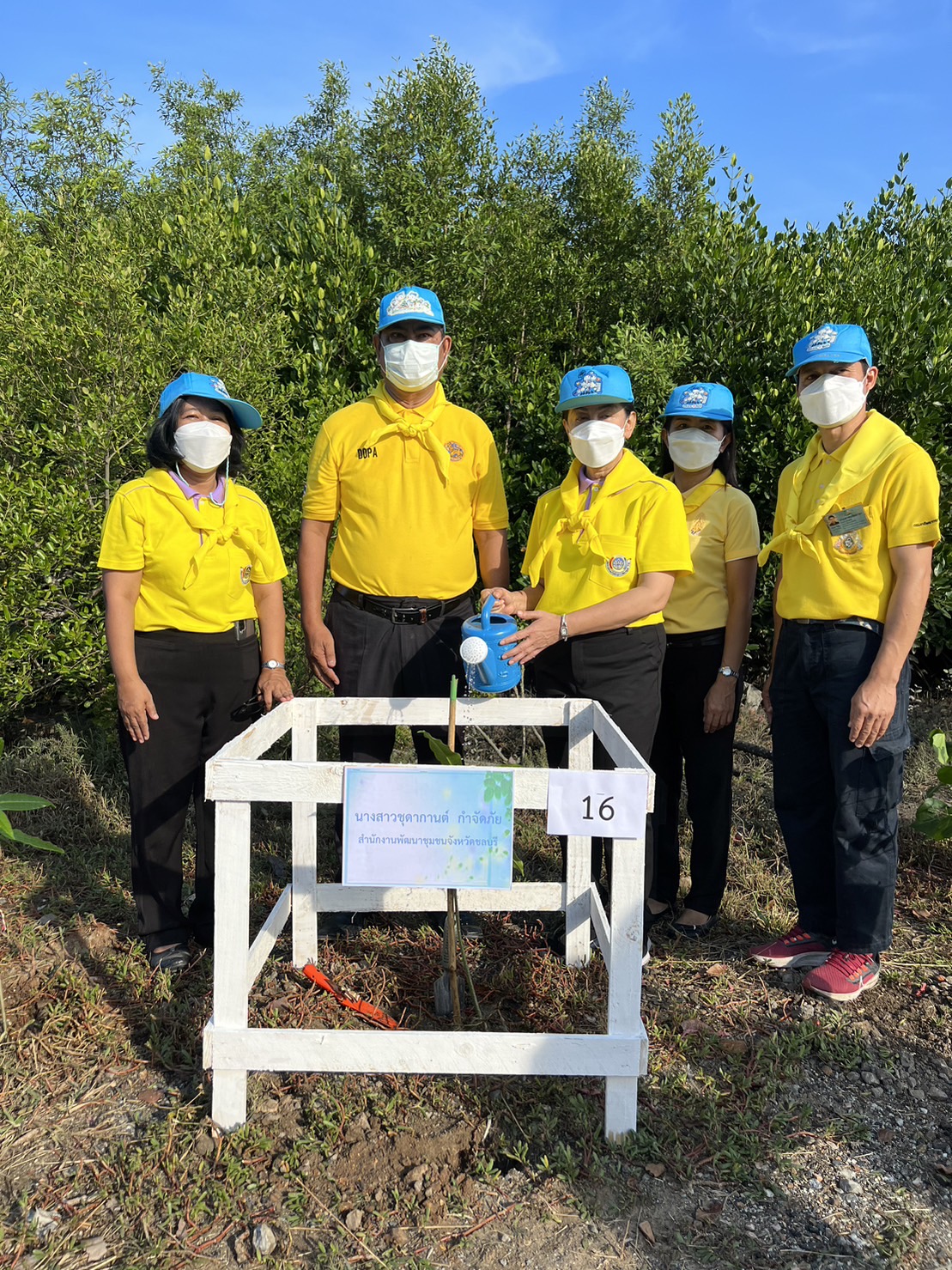 #พช.ชลบุรี# ร่วมกิจกรรมจิตอาสาพัฒนาเนื่องในวันสำคัญของชาติไทย วันพระบรมราชสมภพ ในหลวง รัชกาลที่ 9  (วันชาติไทย วันพ่อแห่งชาติ และวันดินโลก)