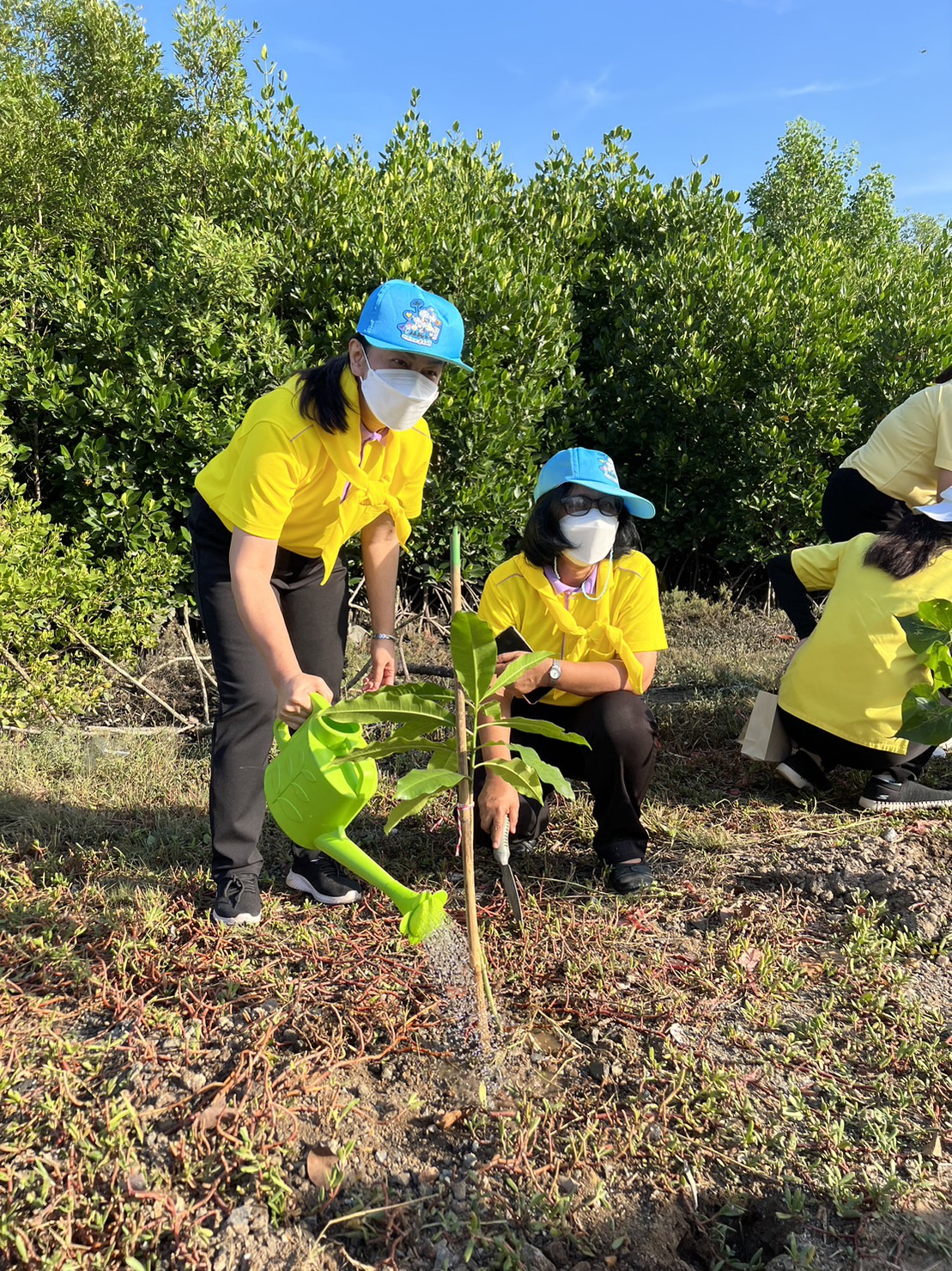 #พช.ชลบุรี# ร่วมกิจกรรมจิตอาสาพัฒนาเนื่องในวันสำคัญของชาติไทย วันพระบรมราชสมภพ ในหลวง รัชกาลที่ 9  (วันชาติไทย วันพ่อแห่งชาติ และวันดินโลก)