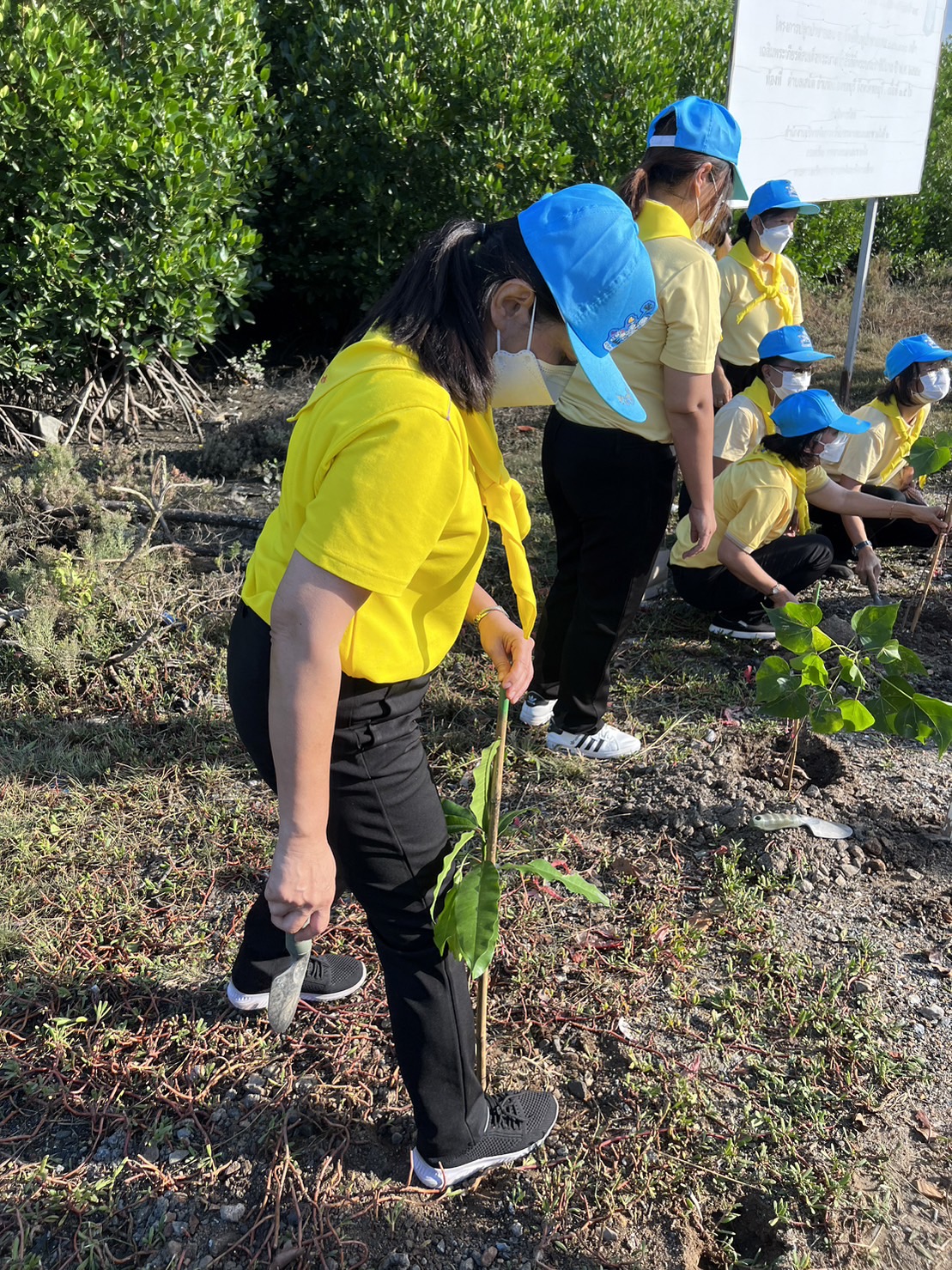 #พช.ชลบุรี# ร่วมกิจกรรมจิตอาสาพัฒนาเนื่องในวันสำคัญของชาติไทย วันพระบรมราชสมภพ ในหลวง รัชกาลที่ 9  (วันชาติไทย วันพ่อแห่งชาติ และวันดินโลก)