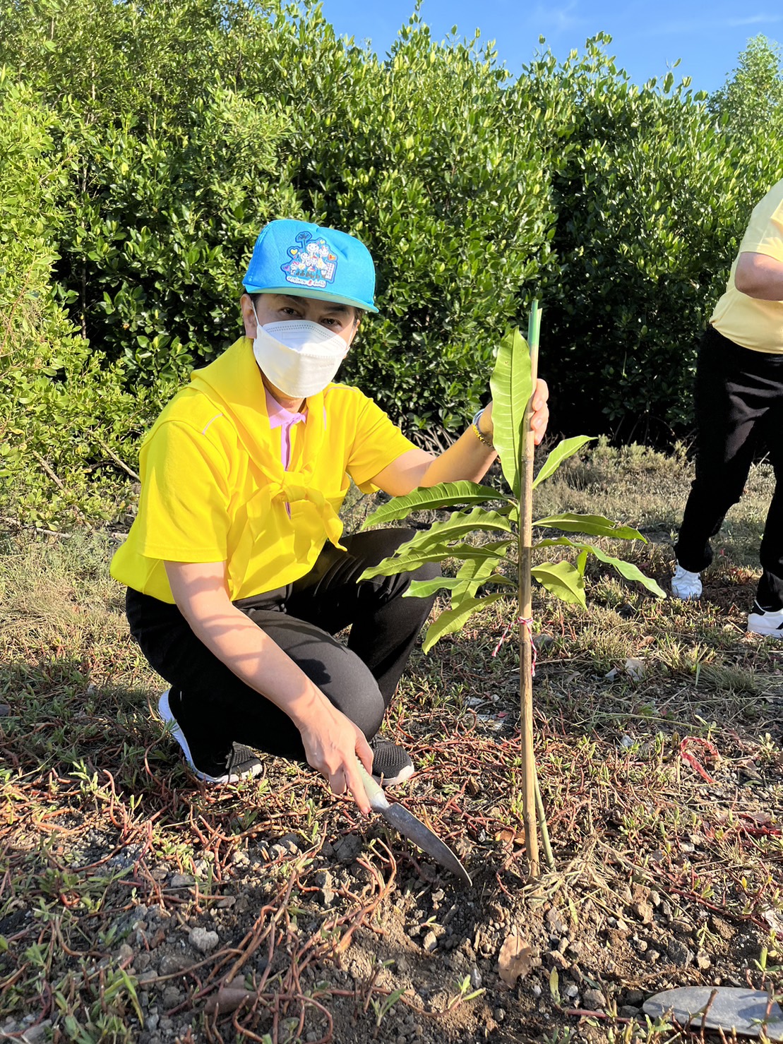 #พช.ชลบุรี# ร่วมกิจกรรมจิตอาสาพัฒนาเนื่องในวันสำคัญของชาติไทย วันพระบรมราชสมภพ ในหลวง รัชกาลที่ 9  (วันชาติไทย วันพ่อแห่งชาติ และวันดินโลก)