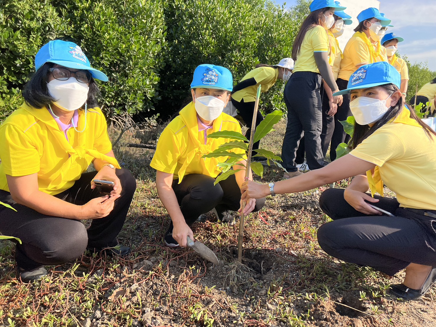 #พช.ชลบุรี# ร่วมกิจกรรมจิตอาสาพัฒนาเนื่องในวันสำคัญของชาติไทย วันพระบรมราชสมภพ ในหลวง รัชกาลที่ 9  (วันชาติไทย วันพ่อแห่งชาติ และวันดินโลก)