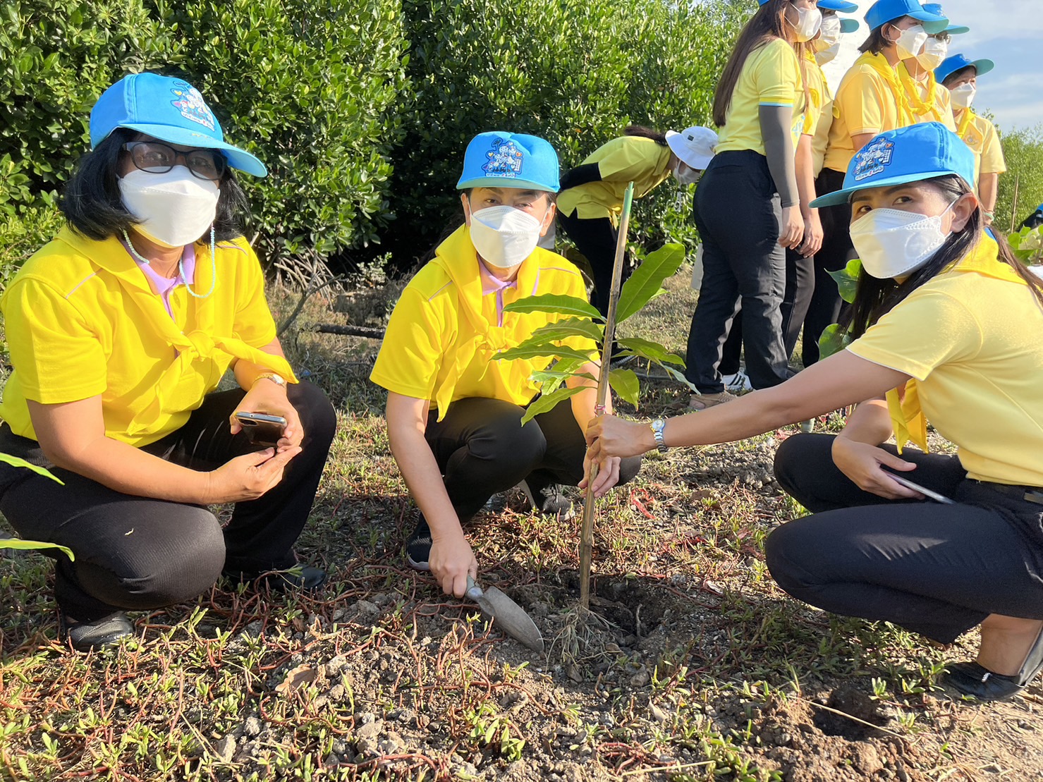 #พช.ชลบุรี# ร่วมกิจกรรมจิตอาสาพัฒนาเนื่องในวันสำคัญของชาติไทย วันพระบรมราชสมภพ ในหลวง รัชกาลที่ 9  (วันชาติไทย วันพ่อแห่งชาติ และวันดินโลก)