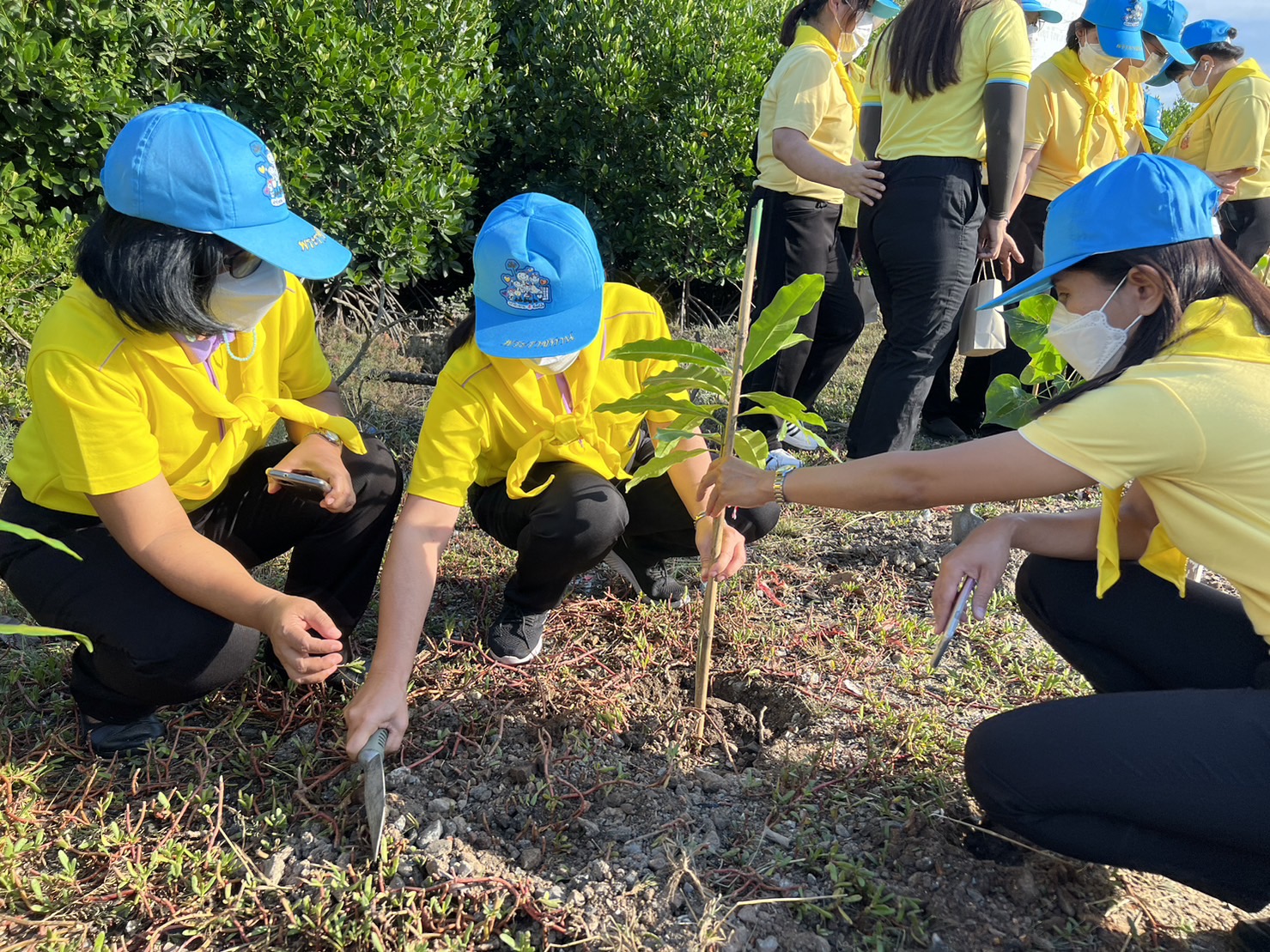 #พช.ชลบุรี# ร่วมกิจกรรมจิตอาสาพัฒนาเนื่องในวันสำคัญของชาติไทย วันพระบรมราชสมภพ ในหลวง รัชกาลที่ 9  (วันชาติไทย วันพ่อแห่งชาติ และวันดินโลก)