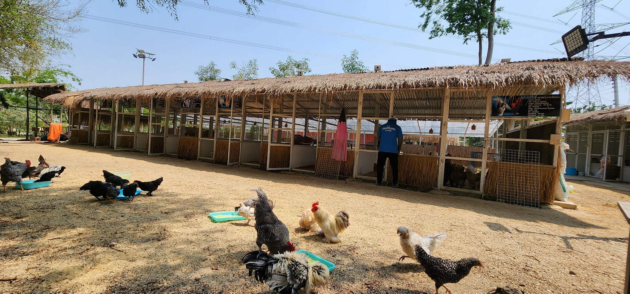 ผู้ตรวจราชการกรมการพัฒนาชุมชน ลงพื้นที่ติดตามสนับสนุน กิจกรรมพัฒนาชุมชนอำเภอพนัสนิคม จังหวัดชลบุรี