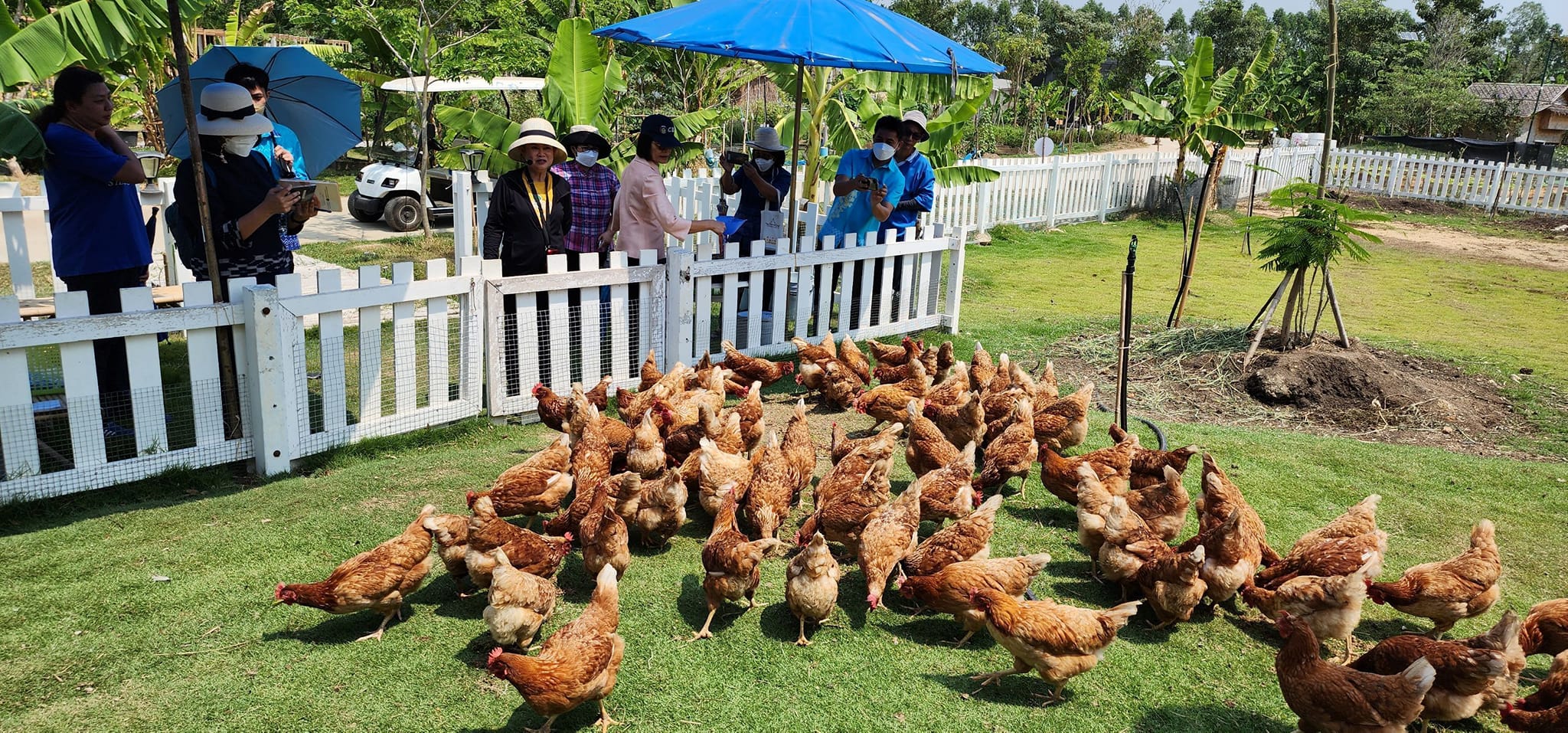 ผู้ตรวจราชการกรมการพัฒนาชุมชน ลงพื้นที่ติดตามสนับสนุน กิจกรรมพัฒนาชุมชนอำเภอพนัสนิคม จังหวัดชลบุรี