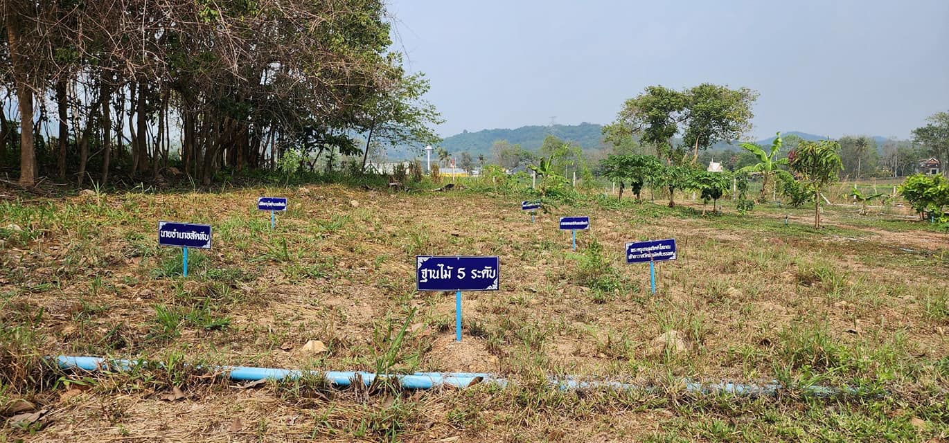 พช.ชลบุรี จัดประชุมผู้อำนวยการกลุ่มงาน และพัฒนาการอำเภอสัญจร ครั้งที่ 3/2566