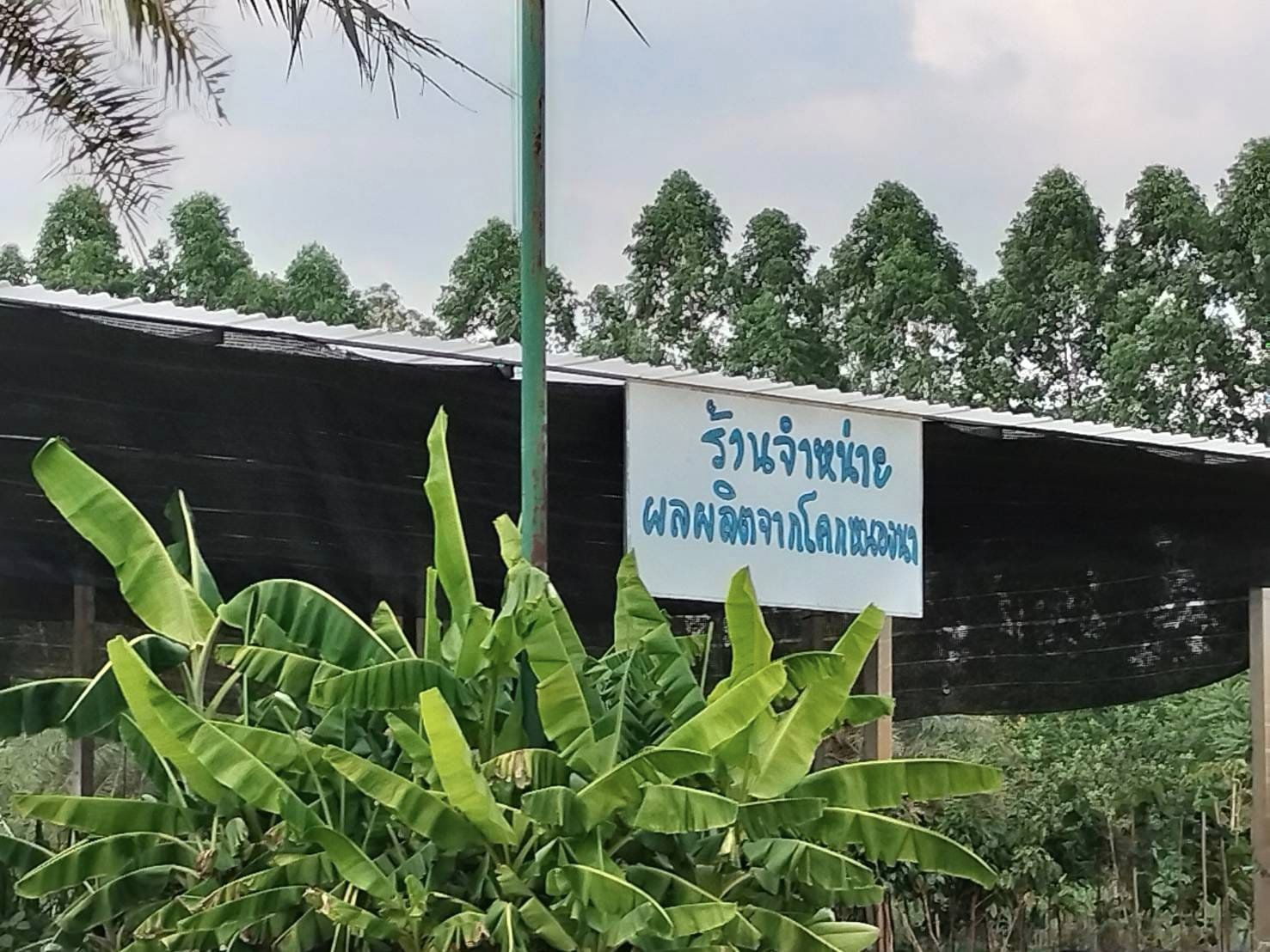 พช.ชลบุรี ติดตามการดำเนินงานศูนย์เรียนรู้การพัฒนาคุณภาพชีวิตตามหลักทฤษฎีใหม่ ประยุกต์สู่ “โคก หนอง นา”