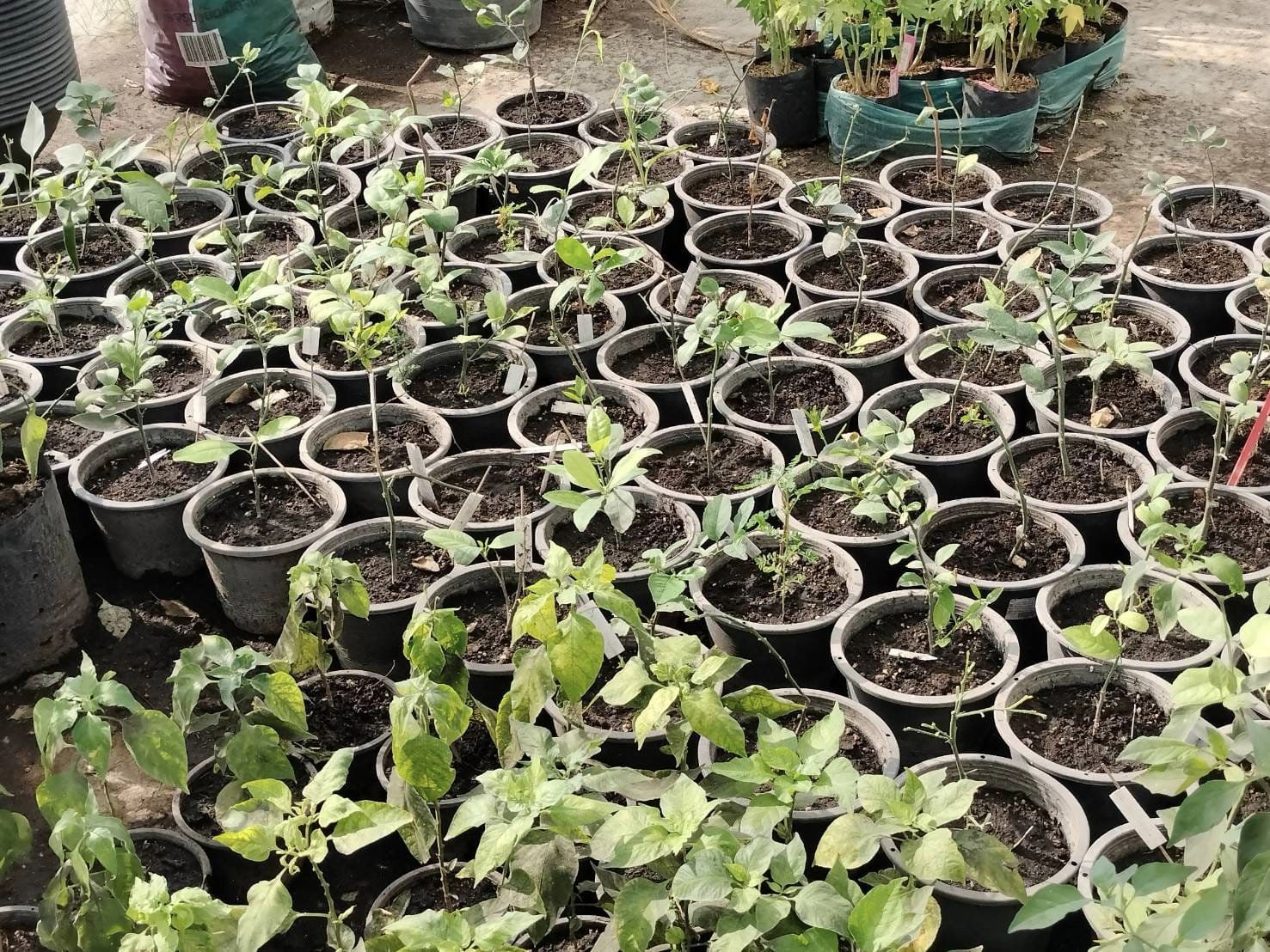 พช.ชลบุรี ติดตามการดำเนินงานศูนย์เรียนรู้การพัฒนาคุณภาพชีวิตตามหลักทฤษฎีใหม่ ประยุกต์สู่ “โคก หนอง นา”