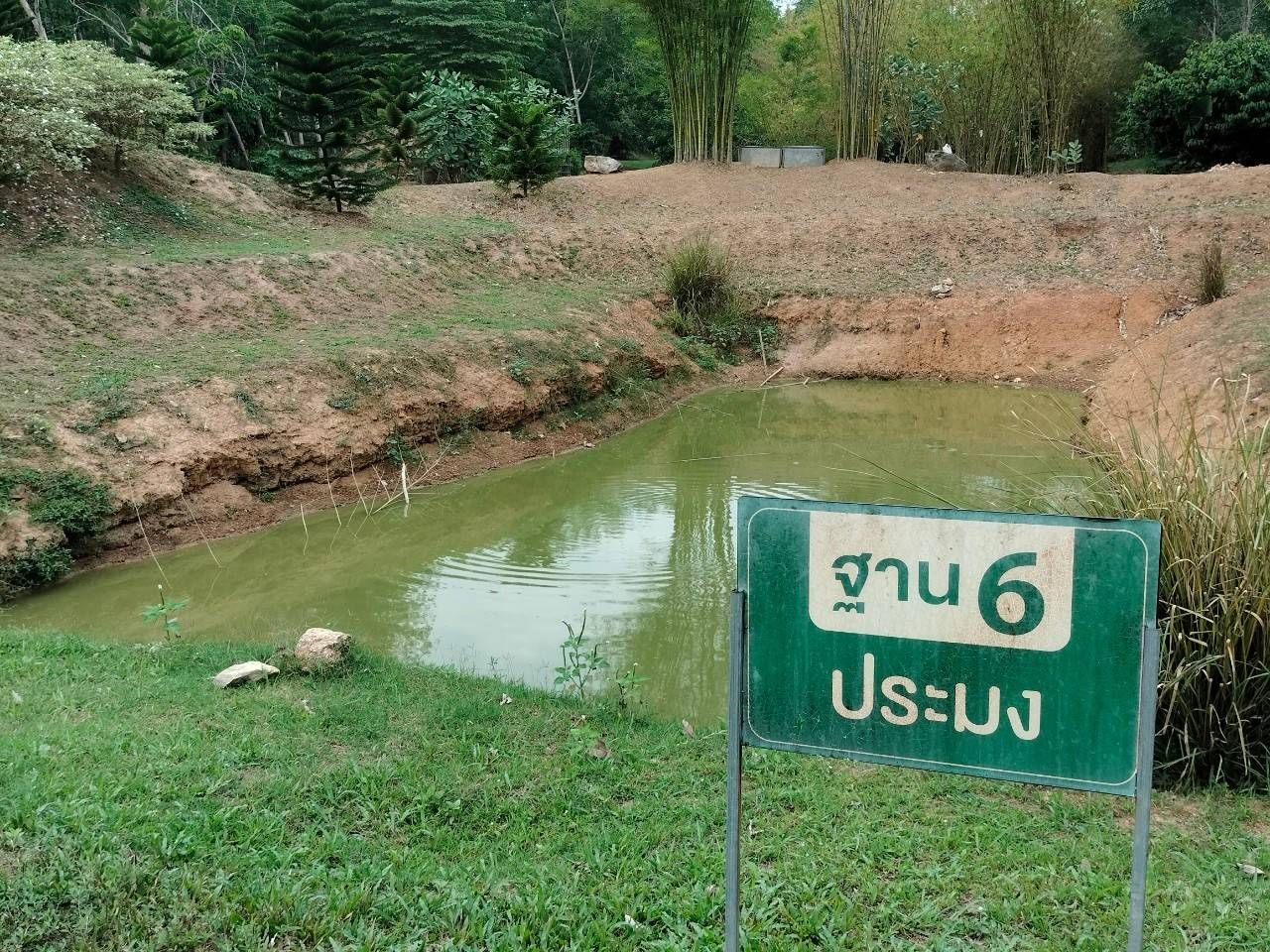 🌴พัฒนาการจังหวัดชลบุรี ลงพื้นที่เยี่ยมชมโคก หนอง นา อ.หนองใหญ่