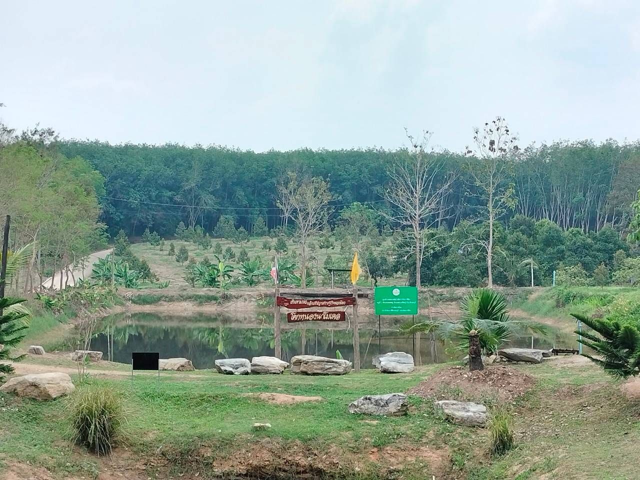 🌴พัฒนาการจังหวัดชลบุรี ลงพื้นที่เยี่ยมชมโคก หนอง นา อ.หนองใหญ่