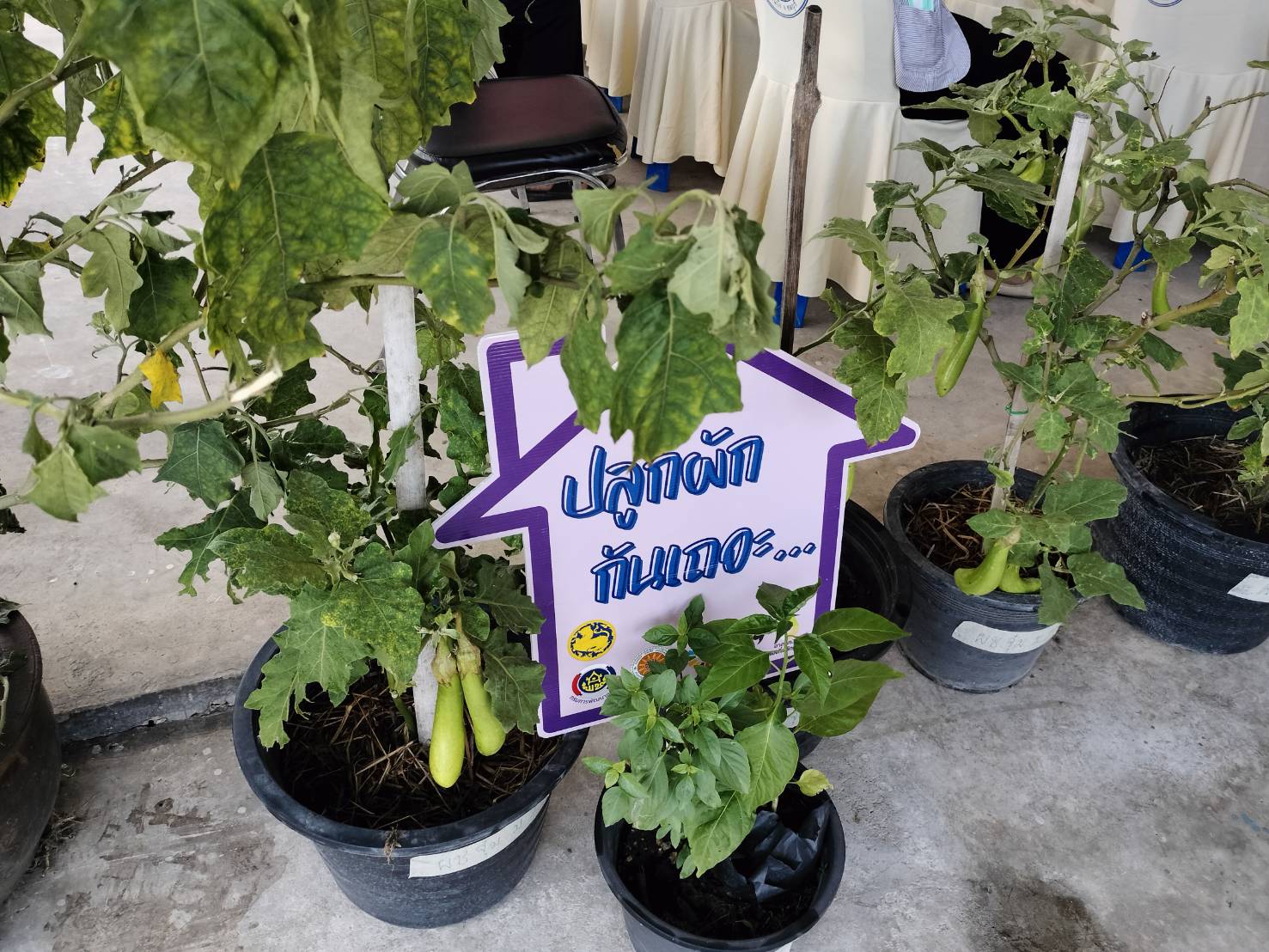 📝พช.ชลบุรี ลงพื้นที่คัดสรรกิจกรรมพัฒนาชุมชนดีเด่น และคัดเลือกคนกองทุนพัฒนาบทบาทสตรีดีเด่นระดับจังหวัด ประจำปี 2567 ✨