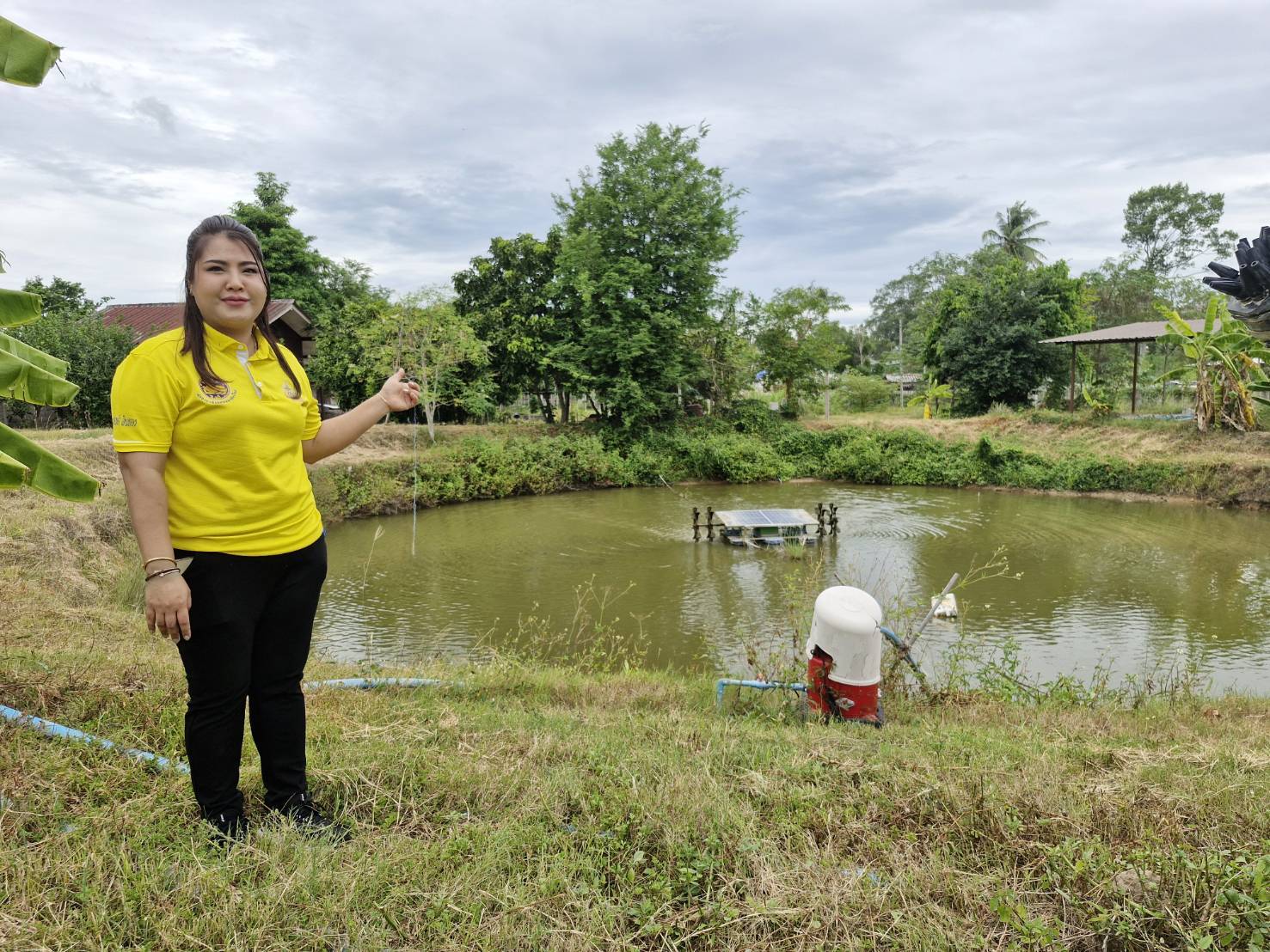 💎💎พัฒนาการจังหวัดชลบุรี ลงพื้นที่ตรวจเยี่ยมและให้ข้อเสนอแนะการดำเนินงานศูนย์เรียนรู้การพัฒนาคุณภาพชีวิตตามหลักทฤษฎีใหม่ ประยุกต์สู่ โคก หนอง นา