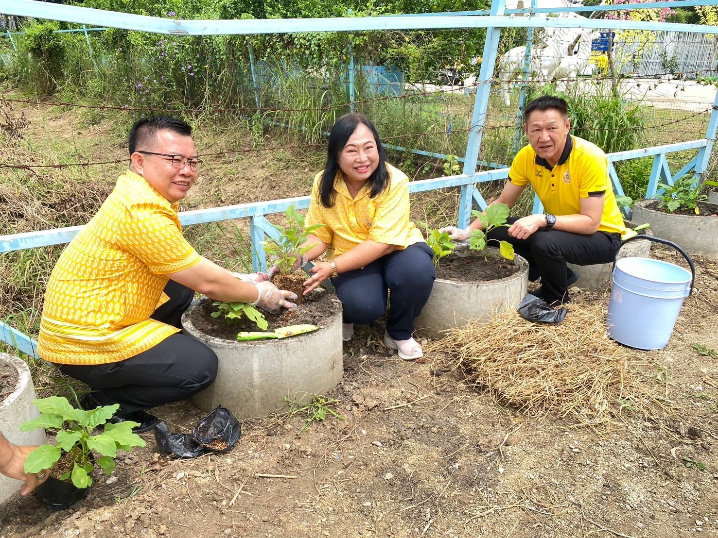 🌞🌞พช.ชลบุรี ดำเนินงานโครงการโคก หนอง นา อารยเกษตร เฉลิมพระเกียรติพระบาทสมเด็จพระเจ้าอยู่หัว เนื่องในโอกาสพระราชพิธีมหามงคลเฉลิมพระชนมพรรษา 6 รอบ 28 กรกฎาคม 2567 และโครงการ “ทางนี้มีผล ผู้คนรักกัน ปันสุข”