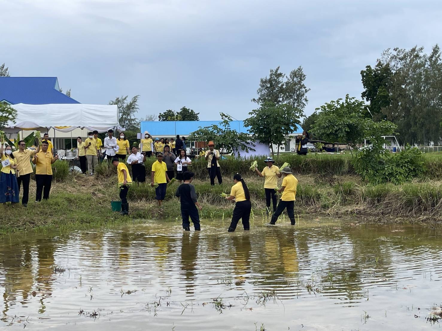 📢📢พัฒนาการจังหวัดชลบุรี เป็นประธานโครงการพัฒนาศักยภาพศูนย์เรียนรู้การพัฒนาคุณภาพชีวิตตามหลักทฤษฎีใหม่ประยุกต์สู่ “โคก หนอง นา”