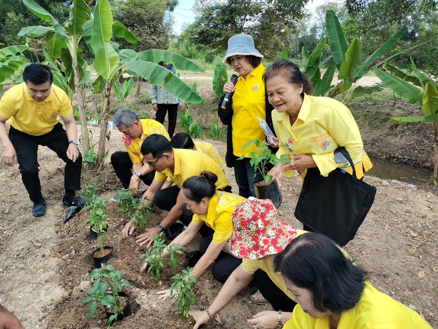 🛟🛟พช.ชลบุรี ดำเนินโครงการส่งเสริมและสนับสนุนกิจกรรมอนุรักษ์พันธุกรรมพืช ตามโครงการอนุรักษ์พันธุกรรมพืช อันเนื่องมาจากพระราชดำริ สมเด็จพระเทพรัตนราชสุดาฯ สยามบรมราชกุมารี (อพ.สธ.)