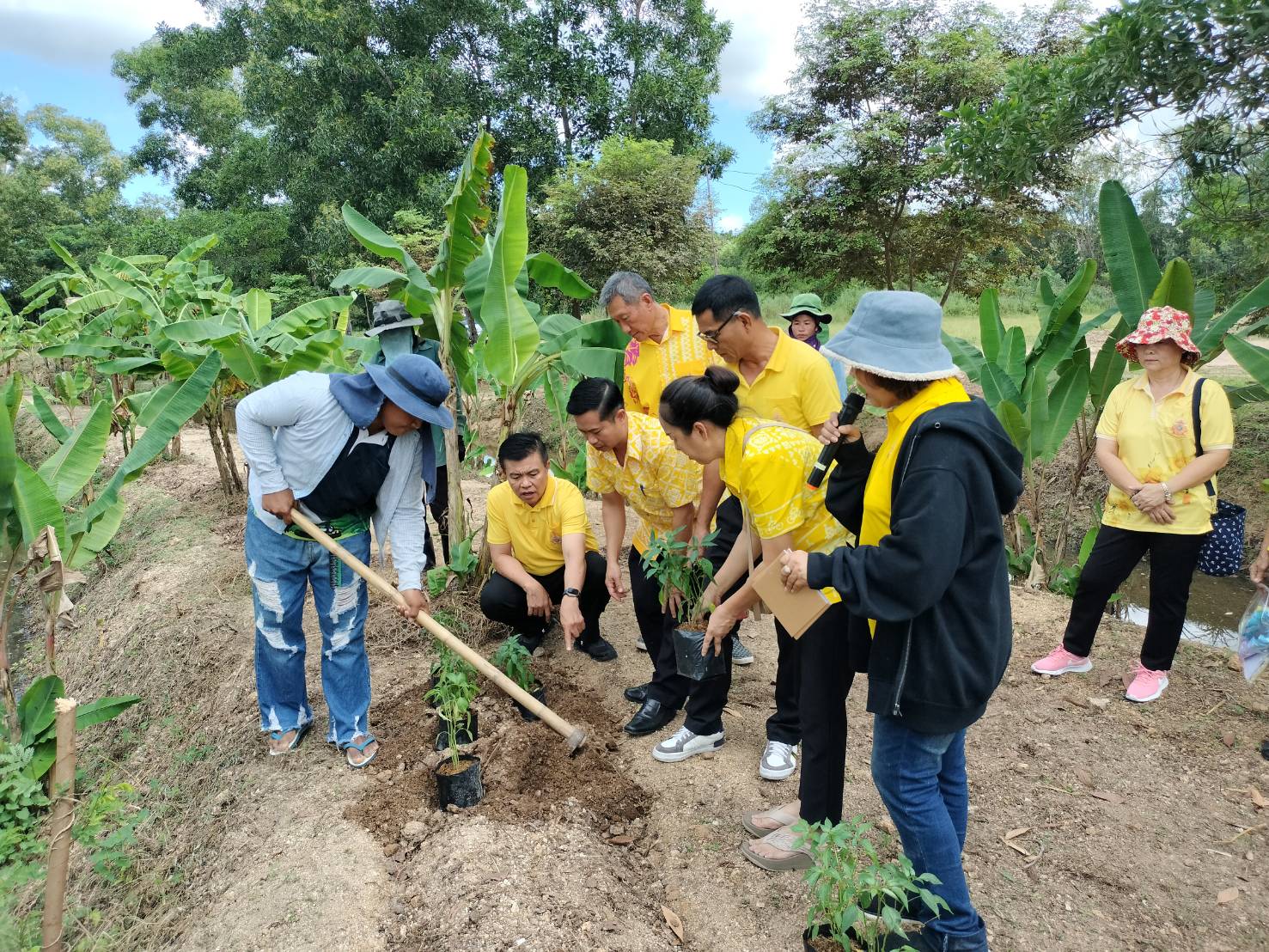 🛟🛟พช.ชลบุรี ดำเนินโครงการส่งเสริมและสนับสนุนกิจกรรมอนุรักษ์พันธุกรรมพืช ตามโครงการอนุรักษ์พันธุกรรมพืช อันเนื่องมาจากพระราชดำริ สมเด็จพระเทพรัตนราชสุดาฯ สยามบรมราชกุมารี (อพ.สธ.)