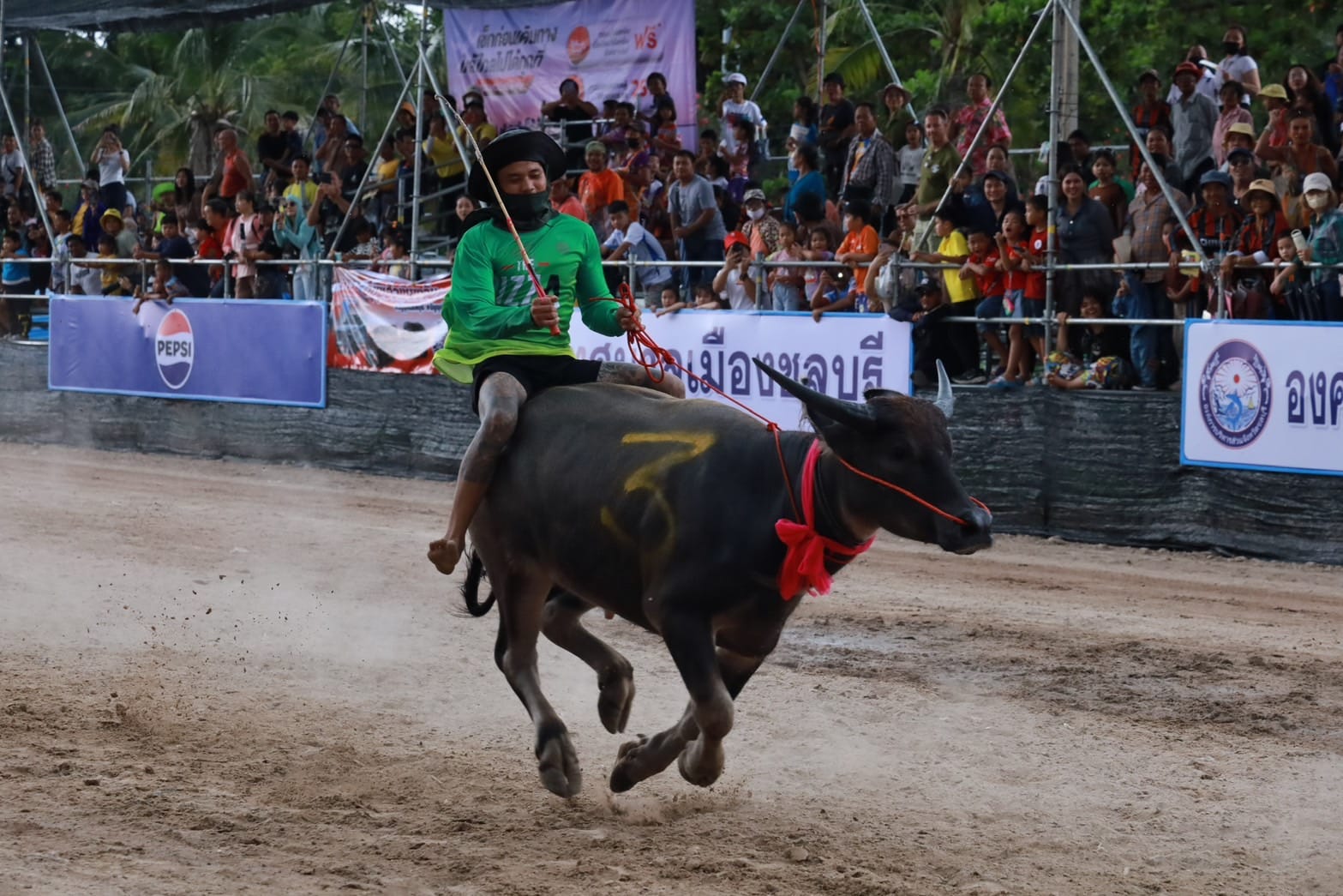 ✨🐃พช.ชลบุรี ร่วมงานวิ่งควายจังหวัดชลบุรี ✨ครั้งที่ 153 “หนึ่งเดียวในไทย หนึ่งเดียวในโลก”