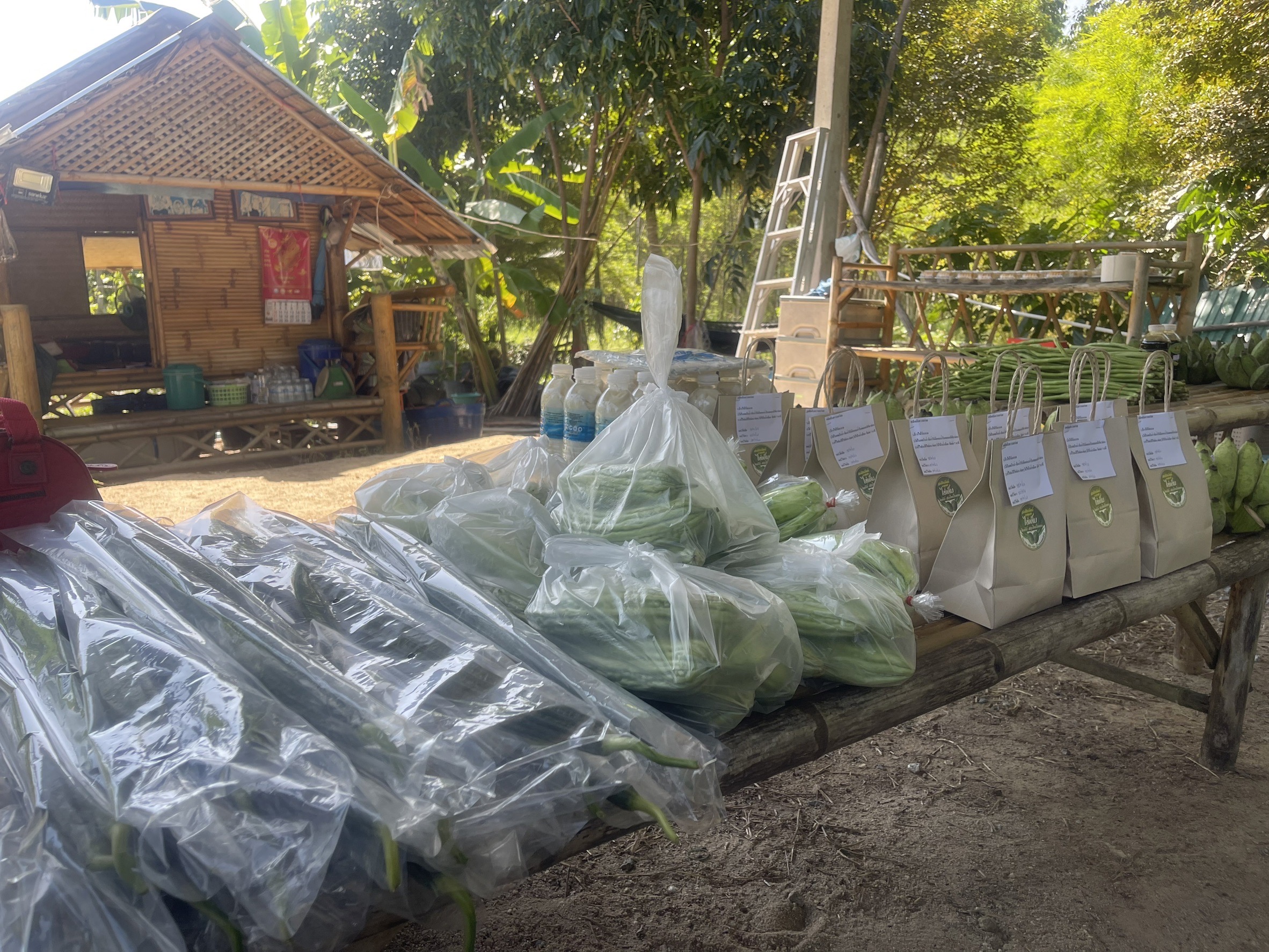 🌳🥬 พช.ชลบุรี ติดตามนิเทศงาน โคก หนอง นา อำเภอบ่อทอง จังหวัดชลบุรี