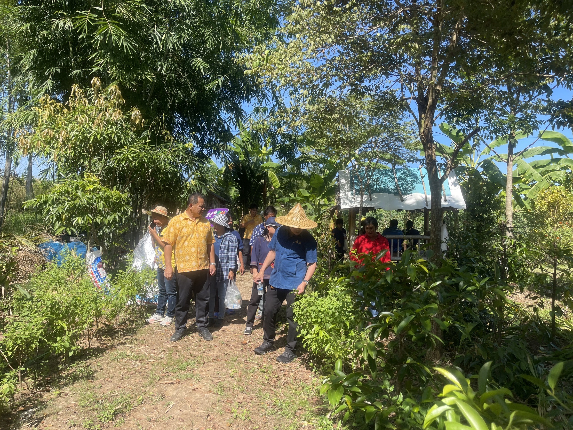 🌳🥬 พช.ชลบุรี ติดตามนิเทศงาน โคก หนอง นา อำเภอบ่อทอง จังหวัดชลบุรี