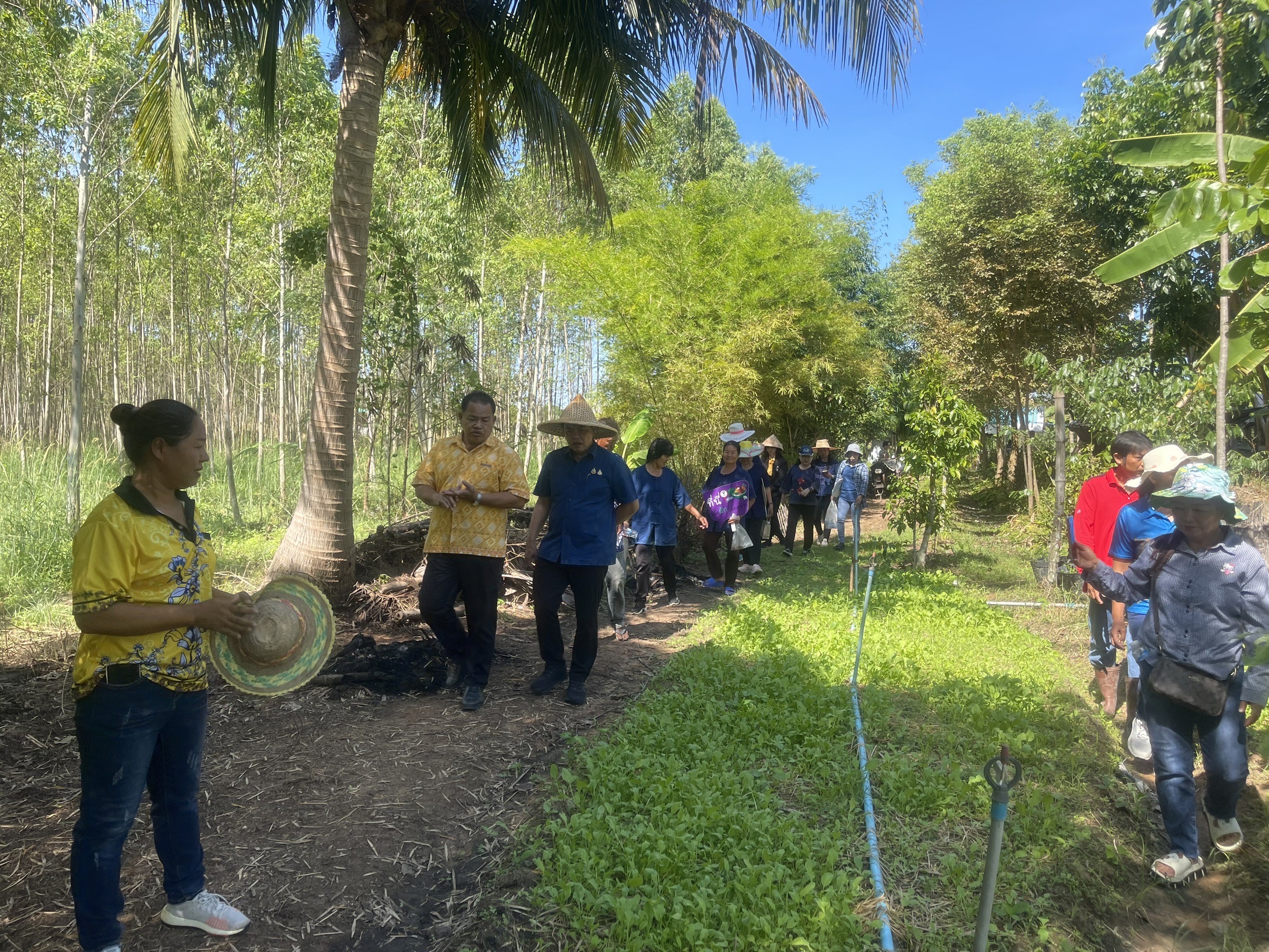 🌳🥬 พช.ชลบุรี ติดตามนิเทศงาน โคก หนอง นา อำเภอบ่อทอง จังหวัดชลบุรี