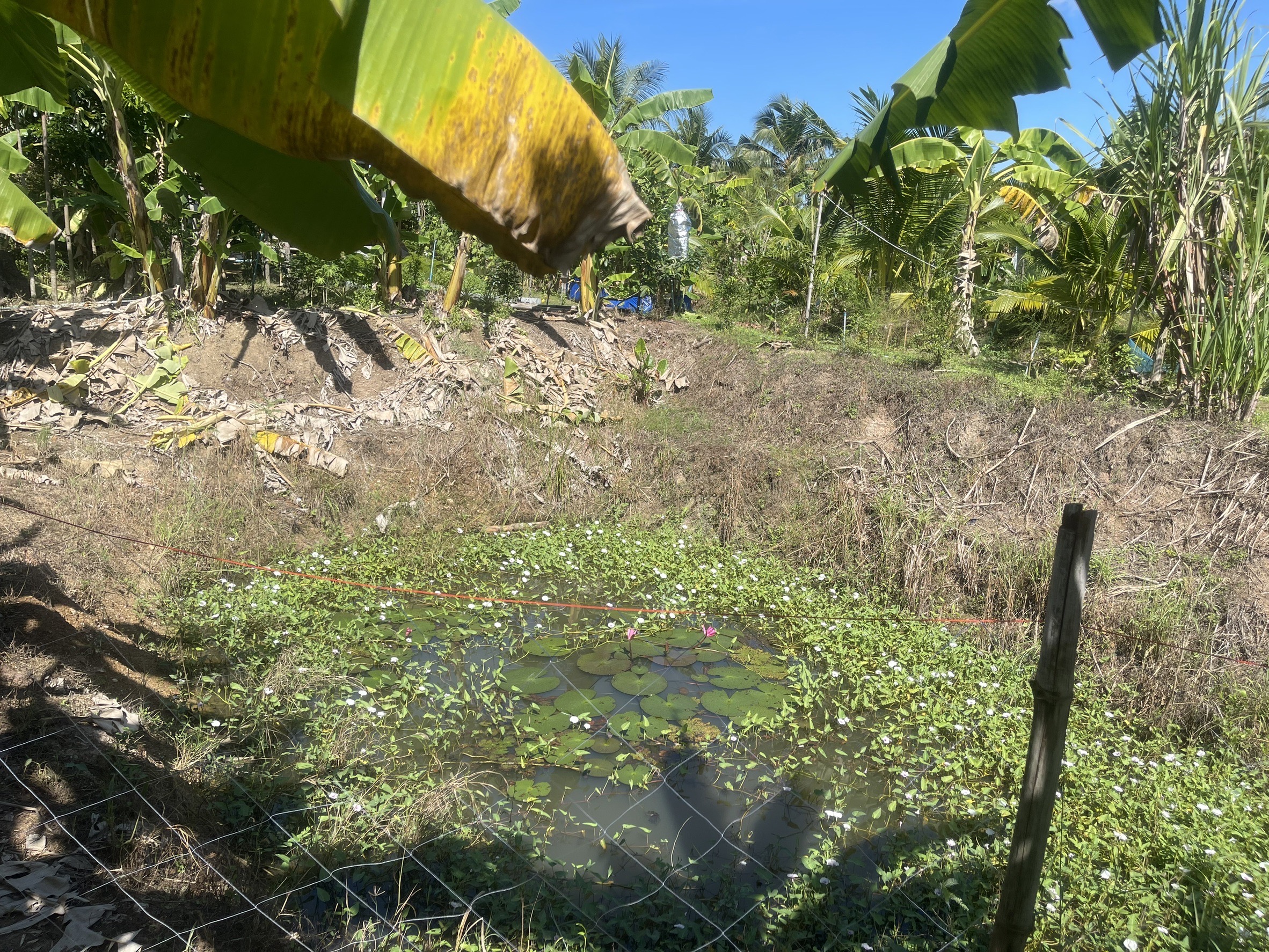 🌳🥬 พช.ชลบุรี ติดตามนิเทศงาน โคก หนอง นา อำเภอบ่อทอง จังหวัดชลบุรี