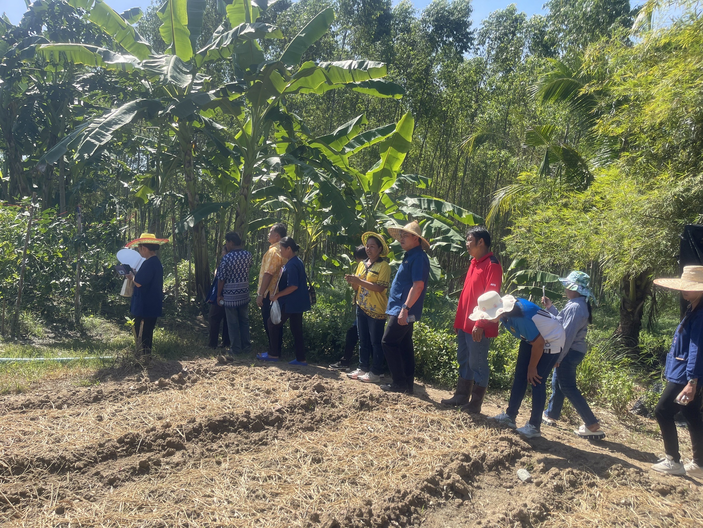 🌳🥬 พช.ชลบุรี ติดตามนิเทศงาน โคก หนอง นา อำเภอบ่อทอง จังหวัดชลบุรี