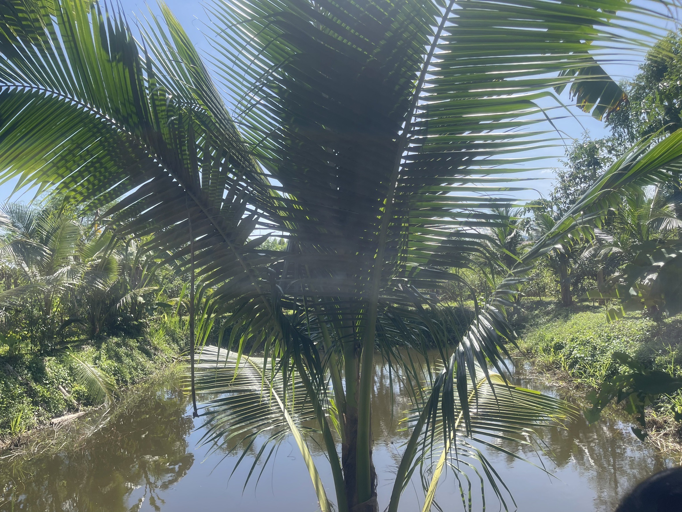 🌳🥬 พช.ชลบุรี ติดตามนิเทศงาน โคก หนอง นา อำเภอบ่อทอง จังหวัดชลบุรี