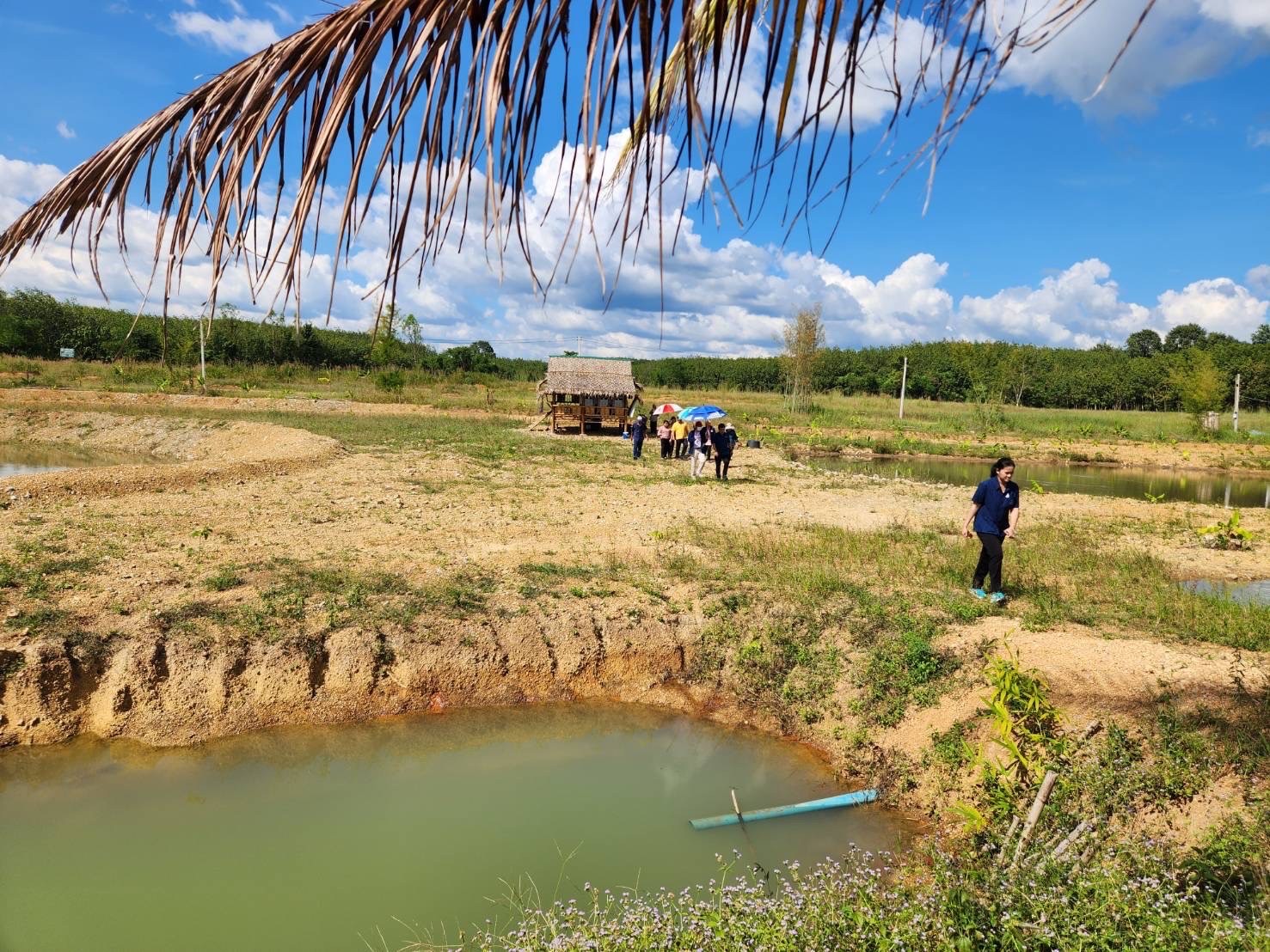 🌳🥬 พช.ชลบุรี ติดตามนิเทศงาน โคก หนอง นา อำเภอบ่อทอง จังหวัดชลบุรี