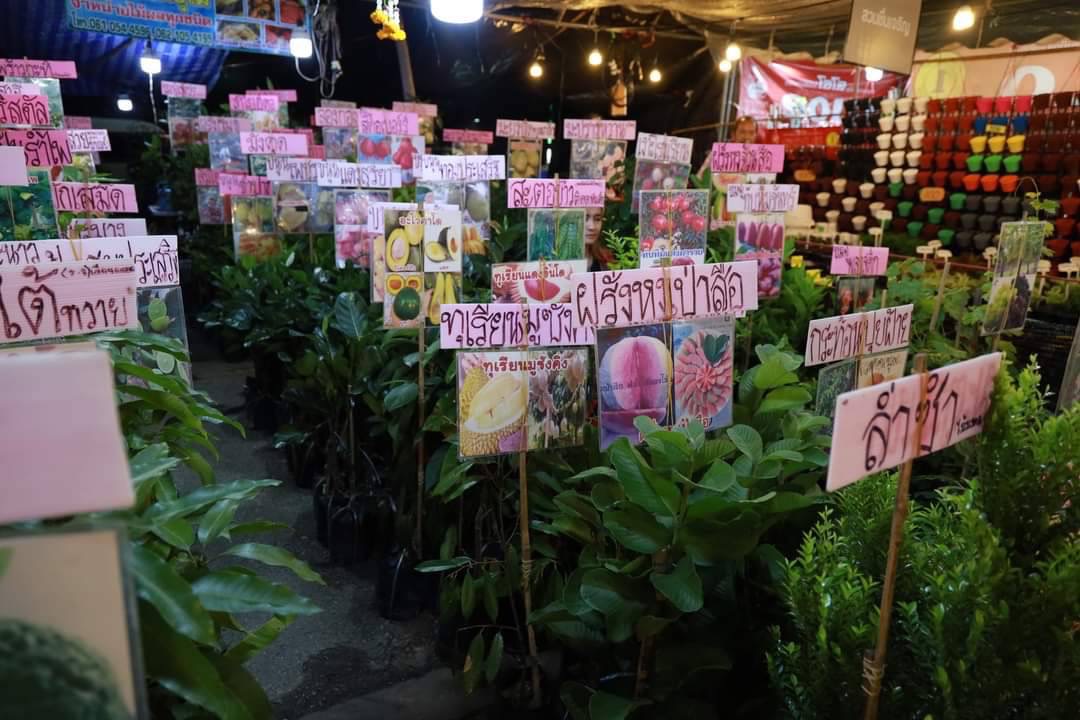 💐🌸 พช.ชลบุรี ร่วมงาน ”พรรณไม้งาม อร่ามชล“ ครั้งที่ 7