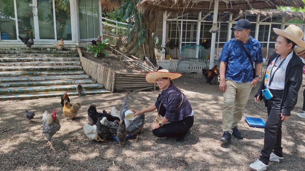 🌊 พช.ชลบุรี รับการตรวจราชการของผู้ตรวจราชการกรมการพัฒนาชุมชน