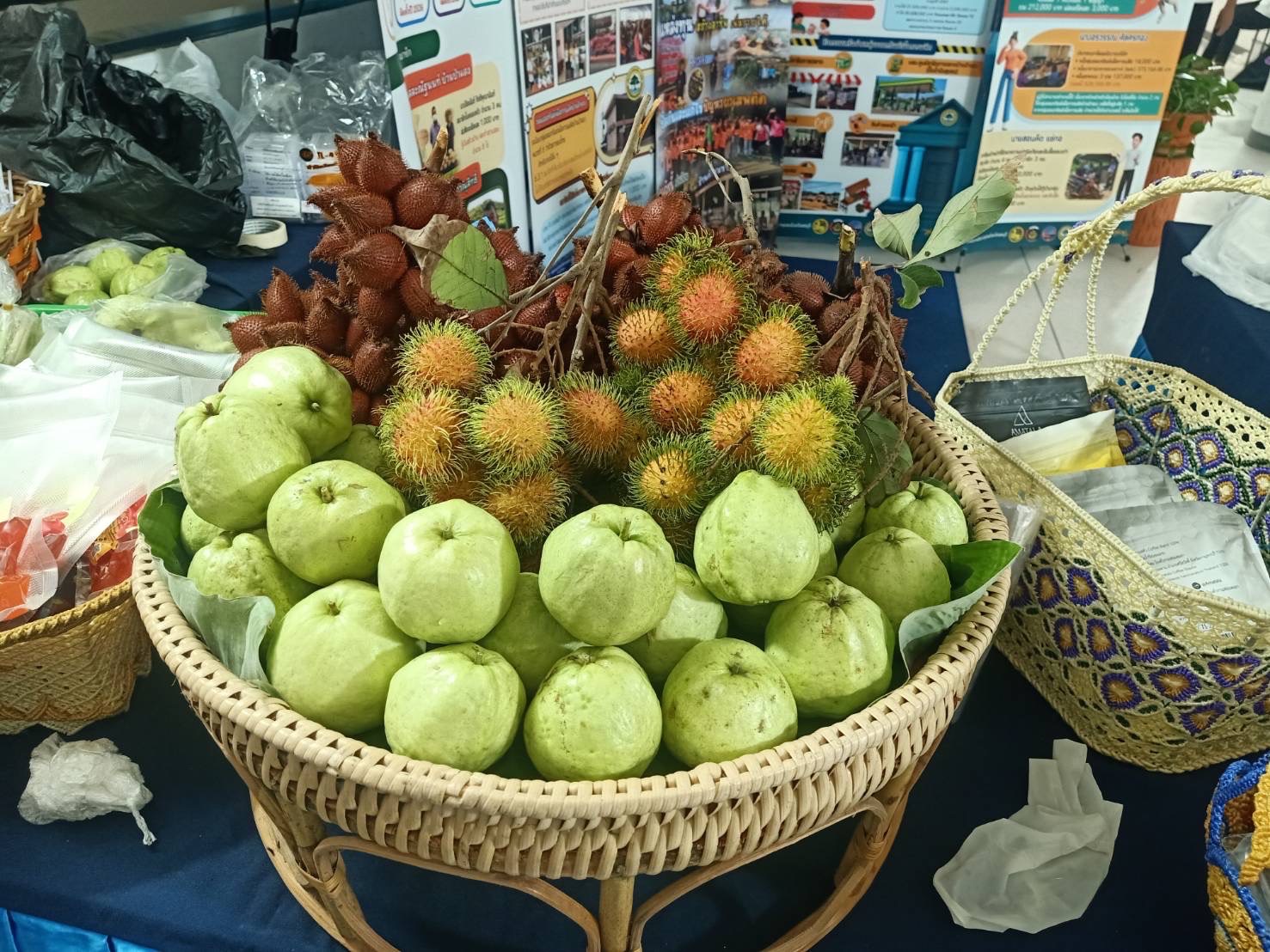 🌊🎉 พช.ชลบุรี ร่วมมหกรรมวันต่อต้านยาเสพติดโลก (26 มิถุนายน) ประจำปี 2568 “รวมพลังศรัทธา กองทุนแม่ของแผ่นดิน ชุมชนทั่วไทย ปลอดภัยจากยาเสพติด”