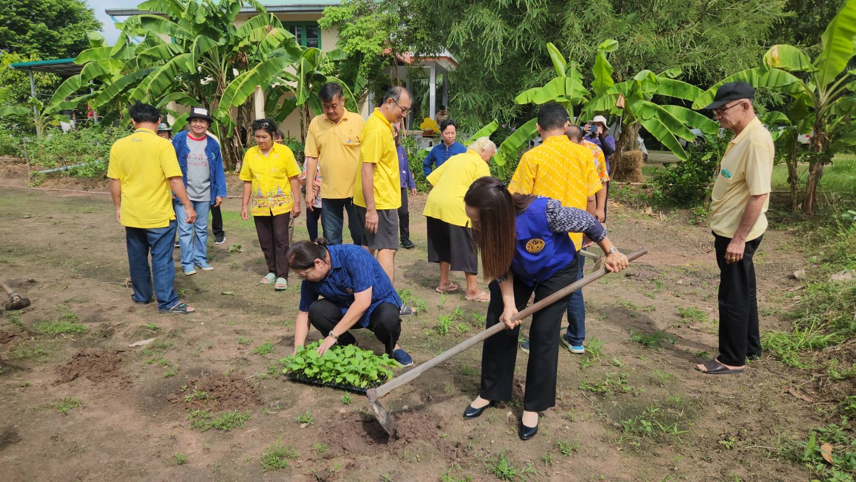 🥬🌾พช.ชลบุรี ดำเนินงานโครงการส่งเสริมกิจกรรมทางนี้มีผล ผู้คนรักกัน