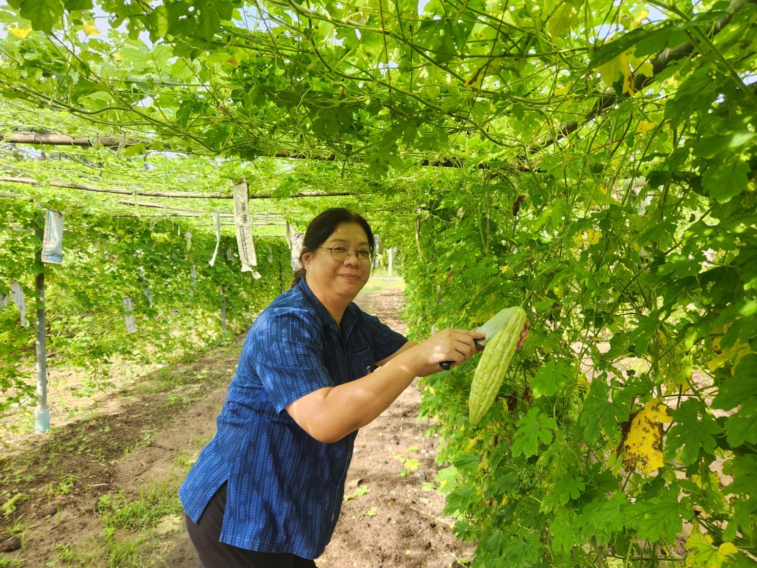 🥬🌾พช.ชลบุรี ดำเนินงานโครงการส่งเสริมกิจกรรมทางนี้มีผล ผู้คนรักกัน